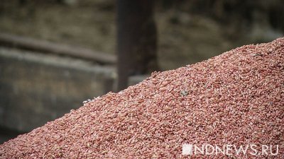 «Нашим фермерам хуже» – Киев требует от Варшавы пустить украинское зерно в Польшу