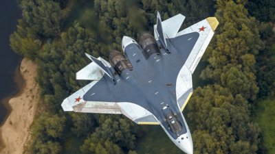 Истребители ВКС России сбили украинский МиГ-29